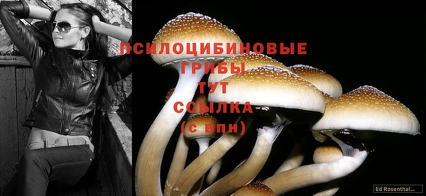 герыч Нязепетровск