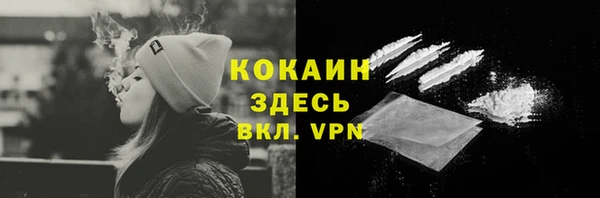 mdpv Новозыбков